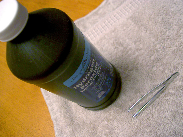 252370996_702d37eabd_z